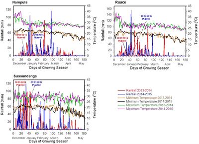 Growth and Yield Responses of Cowpea to Inoculation and Phosphorus Fertilization in Different Environments